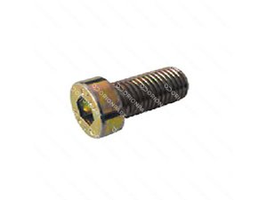 SCREW