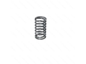 VALVE SPRING