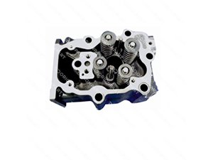 CYLINDER HEAD, WITH VALVES