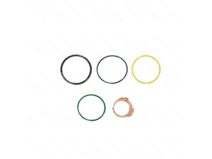 INJECTOR O-RING KIT