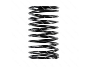 SHOCK ABSORBER SPRING