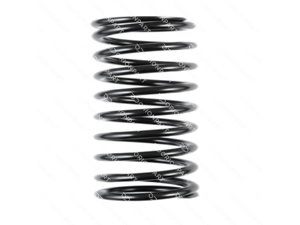 SHOCK ABSORBER SPRING