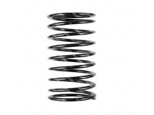 SHOCK ABSORBER SPRING