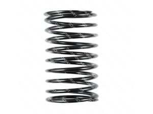 SHOCK ABSORBER SPRING