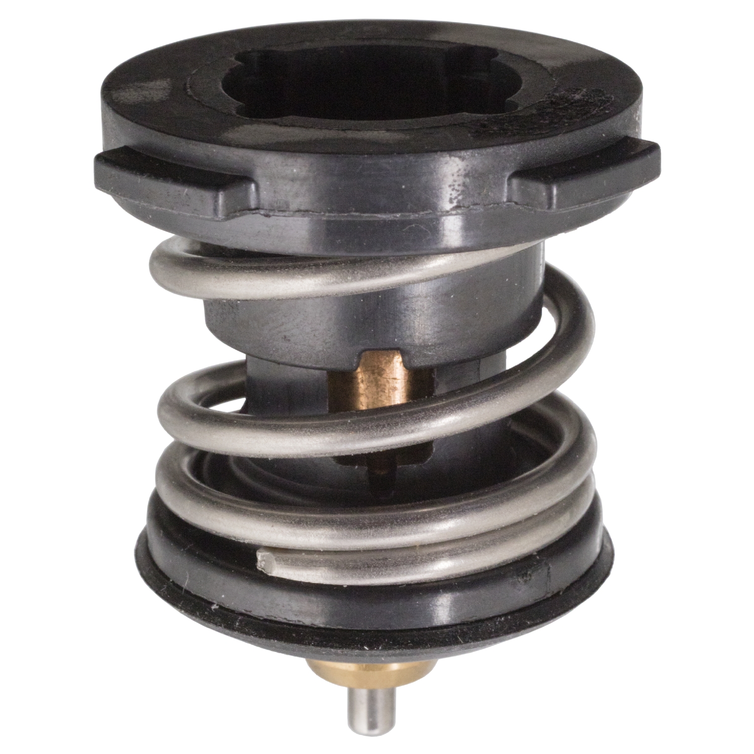 Termostat Keçesi olan -  FEBI BILSTEIN