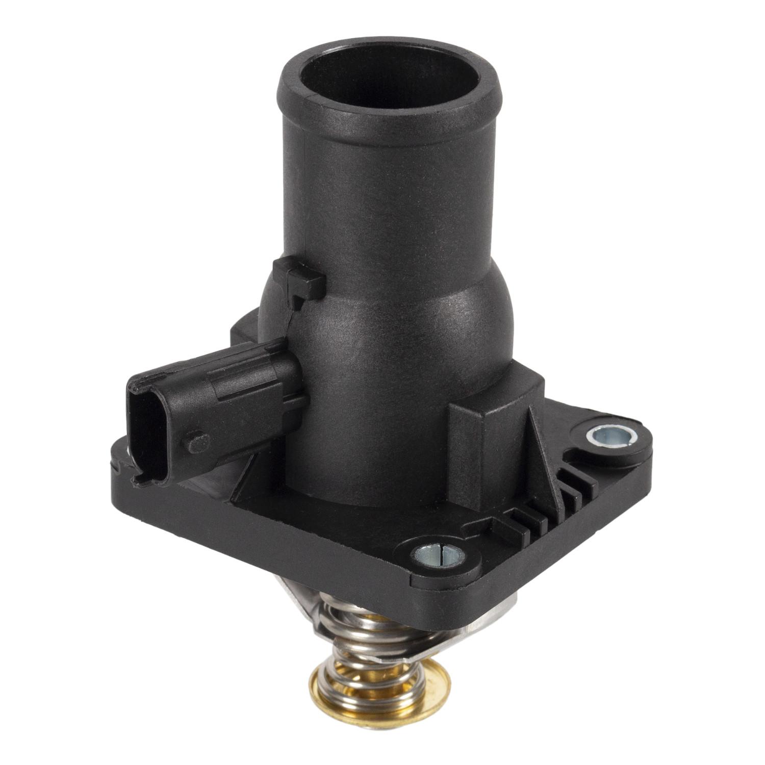 Termostat Keçesi olan -  FEBI BILSTEIN