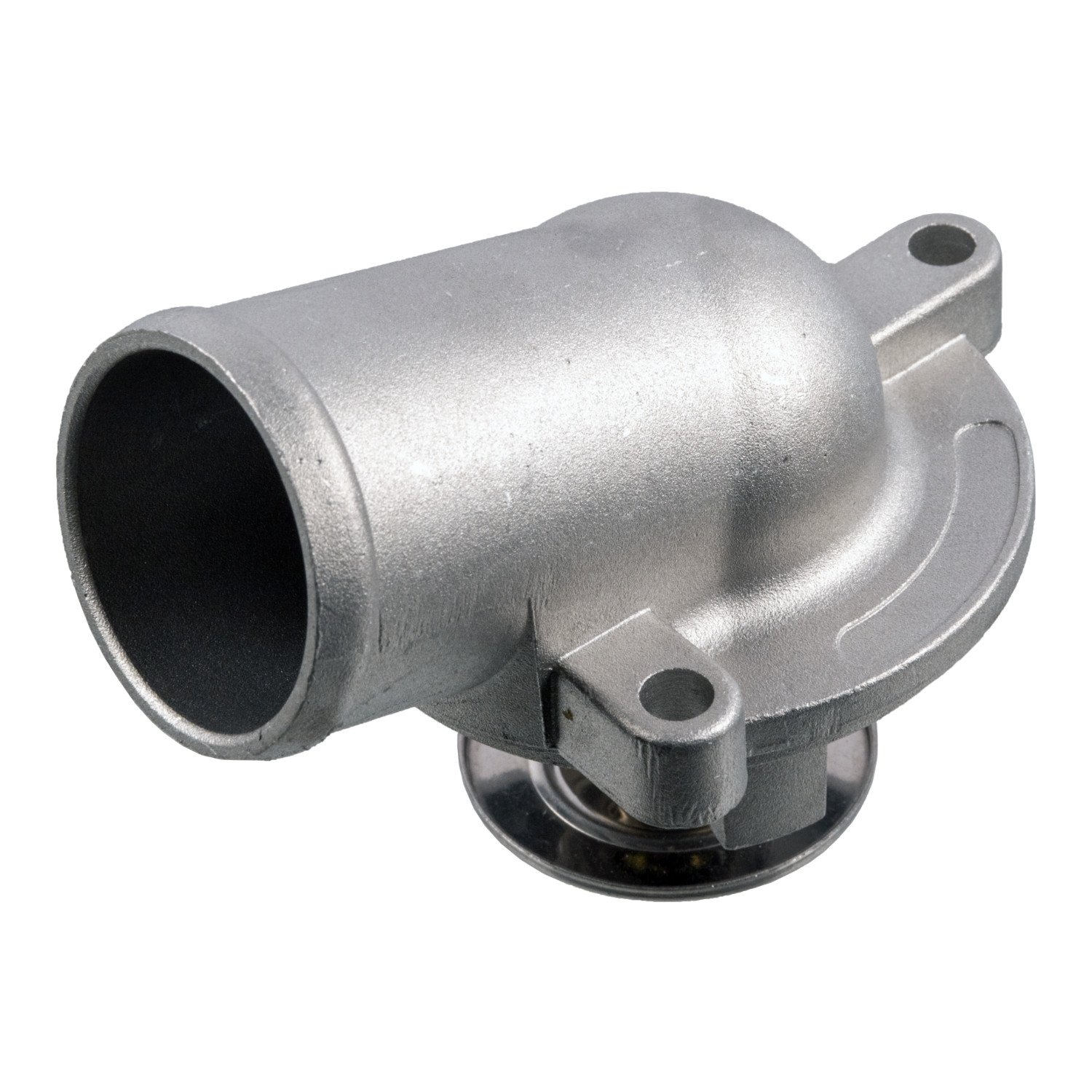 Termostat Muhafaza ve contaya sahip -  FEBI BILSTEIN