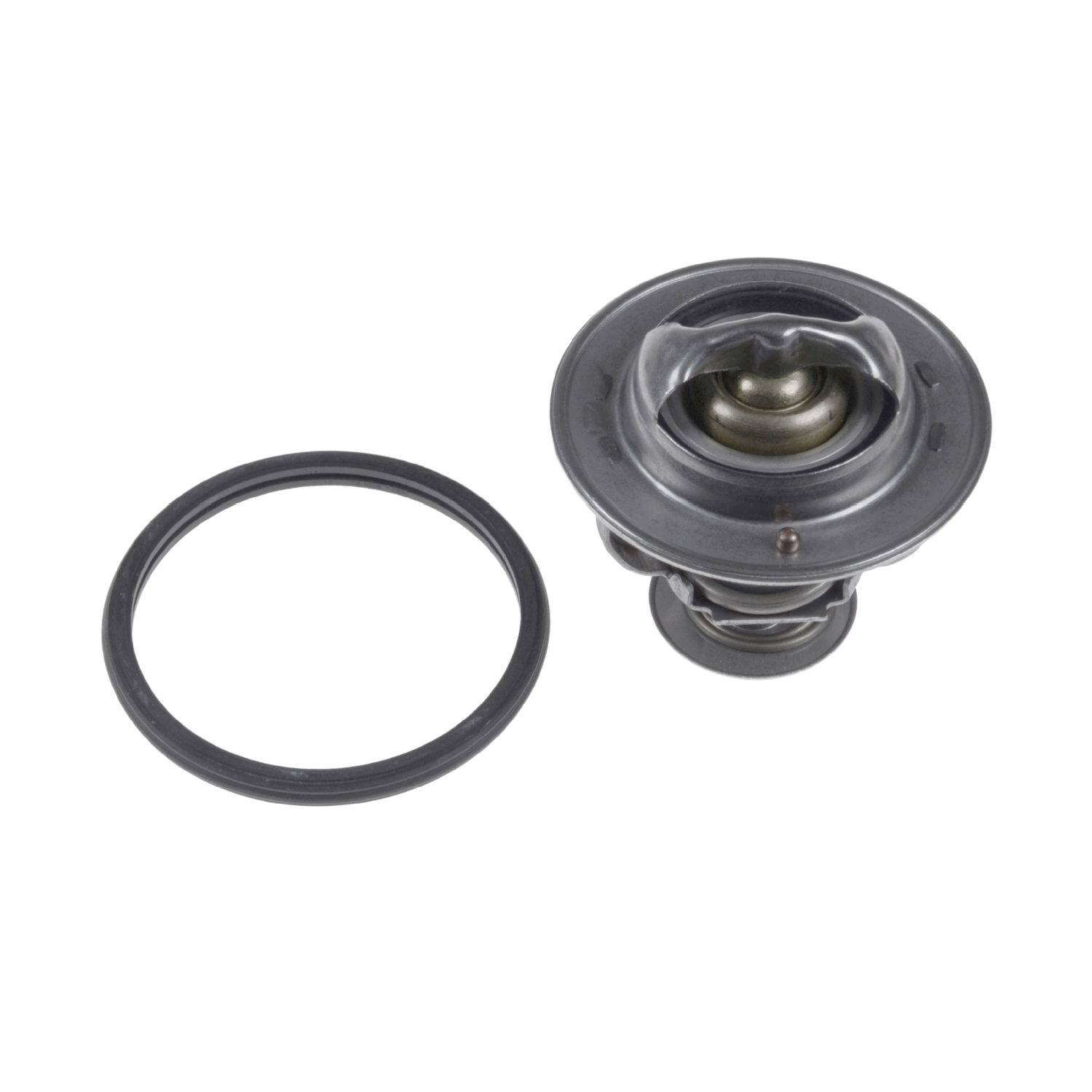 Termostat Keçesi olan -  FEBI BILSTEIN
